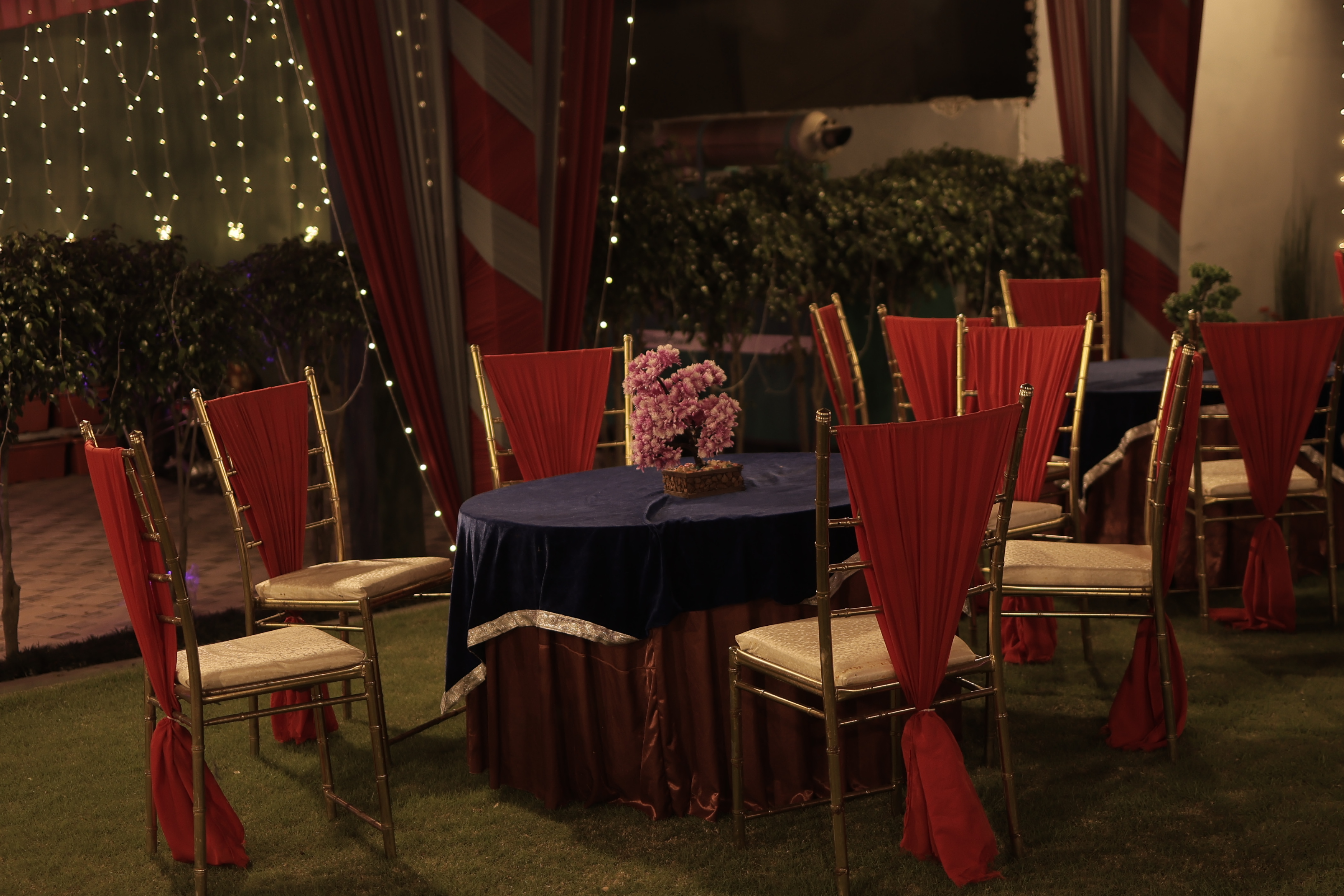 Soni Garden Photo 12